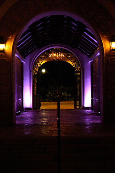 Fiddlers_Creek_Welcome_Back_Dark_Purple_Hallway_LED_lighting_naples
